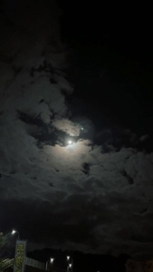 鹿児島ちゃんこ 霧島店　しずか