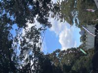 ママらんど宮崎店　りんか☆極上の美熟女