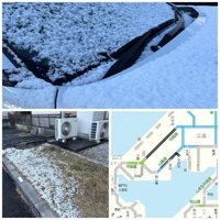 TheGrandPhoenix(デリヘル) ききょう※エロ美魔女