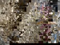 大人の遊園痴「スピーディー」　なな（小悪魔な美女）