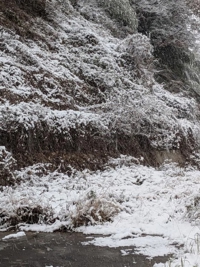 待ちナビ るな 今年初