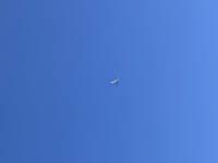 ママらんど宮崎店　りんか☆極上の美熟女