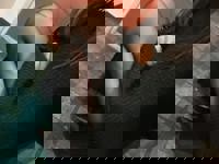 沖縄本舗(メンズエステ) うた-UTA-