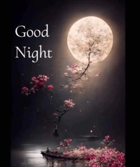 TheGrandPhoenix　ありさ※可愛い清楚奥様