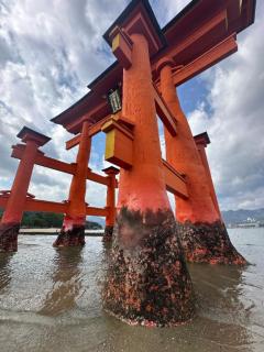 人妻宅急便(大分市) あおい(60分10000円)