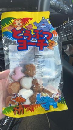 人妻ステーションポータブル　さよ