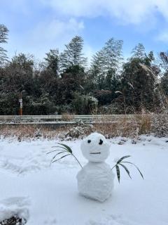 Buddy(大分市) のぞみ☆超敏感の業界未経験女子☆