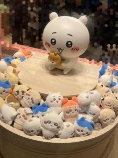 Roots(ルーツ)(都城市) かおる