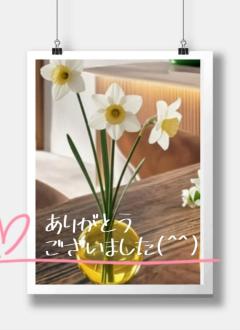 JaPON(デリヘル) 新人真子ﾏｺ