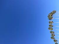 ママらんど宮崎店　りんか☆極上の美熟女