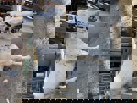 大人の遊園痴「スピーディー」　りつ（敏感で癒し系）