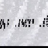 宮崎ちゃんこ中央通店　ぼたん