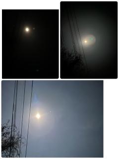 ご主人様いらっしゃい 大分店 神舌ゆい♡最強エロ女（痩せてきた）