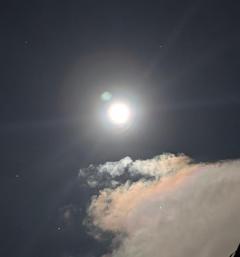 人妻宅急便　かよ（美熟女奥様）