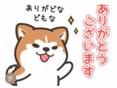 CLUB LUMINE　Haru【ハル】