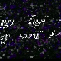 宮崎ちゃんこ中央通店　ぼたん