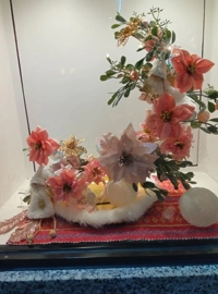 夜中にこんばんは