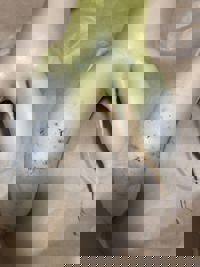 大人の遊園痴「スピーディー」 宮崎市デリヘル りつ（敏感で癒し系） 写メ日記「今日も仲良くしてね」