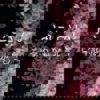 宮崎ちゃんこ中央通店　ぼたん