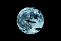 EXE【宮崎店】　るか