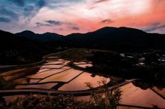 人妻24時(大分市) しずく