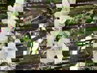 大人の遊園痴「スピーディー」　りつ（敏感で癒し系）