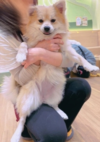 TheGrandPhoenix ジェイ※爆乳Jカップ ぽんぽぉん