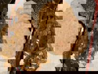 大人の遊園痴「スピーディー」　りつ（敏感で癒し系）