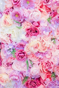 待ちナビ　るり