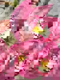 大人の遊園痴「スピーディー」　りつ（敏感で癒し系）