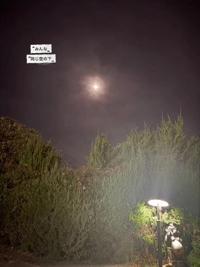 鹿児島ちゃんこ 霧島店　しずか