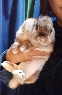  すず(前立腺ﾏｽﾀｰ)