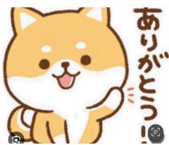 CLUB LUMINE　Haru【ハル】