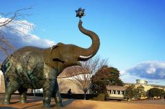 一夜の愛人(大分市) もか