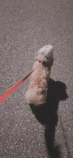 La Rouge みつ 廃人??