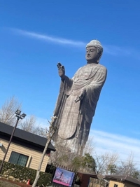 amazing（アメイジング）　るい❀