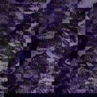 宮崎ちゃんこ中央通店　ぼたん