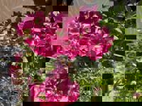 大人の遊園痴「スピーディー」　りつ（敏感で癒し系）