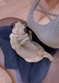 TheGrandPhoenix ジェイ※爆乳Jカップ スタートから