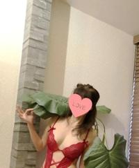 【アニマル診断】今日の運勢ランキング