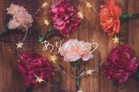 お礼ご新規様(ソフィア305)