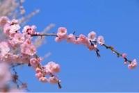 待ちナビ　きょうこ