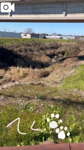 宮崎ちゃんこ都城店 都城市デリヘル こはる 写メ日記「てくてく(  )」