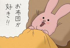 キャンディ　ロミヒ