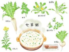  美々（みみ）極嬢美人