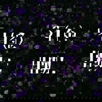 宮崎ちゃんこ中央通店　ぼたん