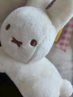 Spica(すぴか)　新★まい★完全業界初！