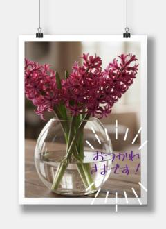 JaPON(大分市) 真子ﾏｺ