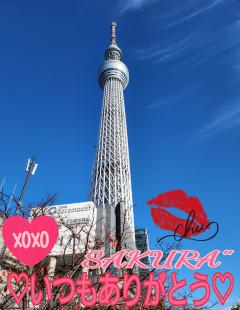 MICHELIN ミシュラン(沖縄市) サクラSakura