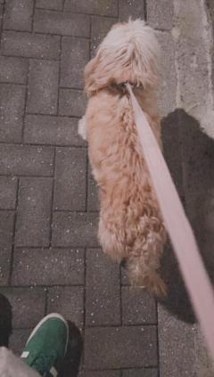 La Rouge（中津市） みつ